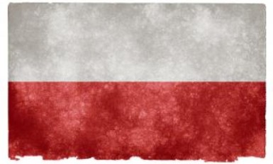 program dla polski